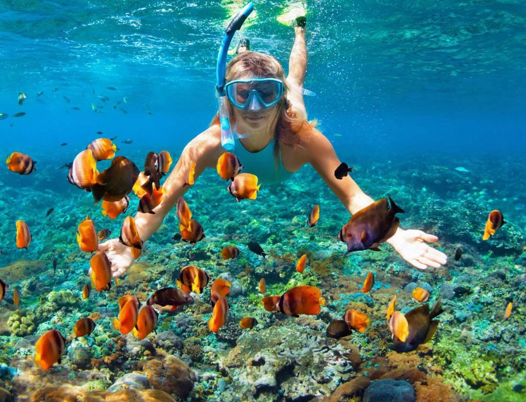 VIP Cayo Levantado Tour in Samana Dominican Republic